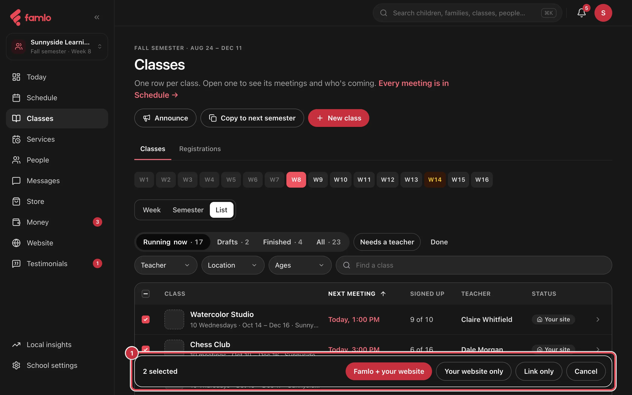 The Classes list in select mode with two classes ticked and the bar at the bottom highlighted, showing 2 selected, Famlo + your website, Your website only, Link only and Cancel