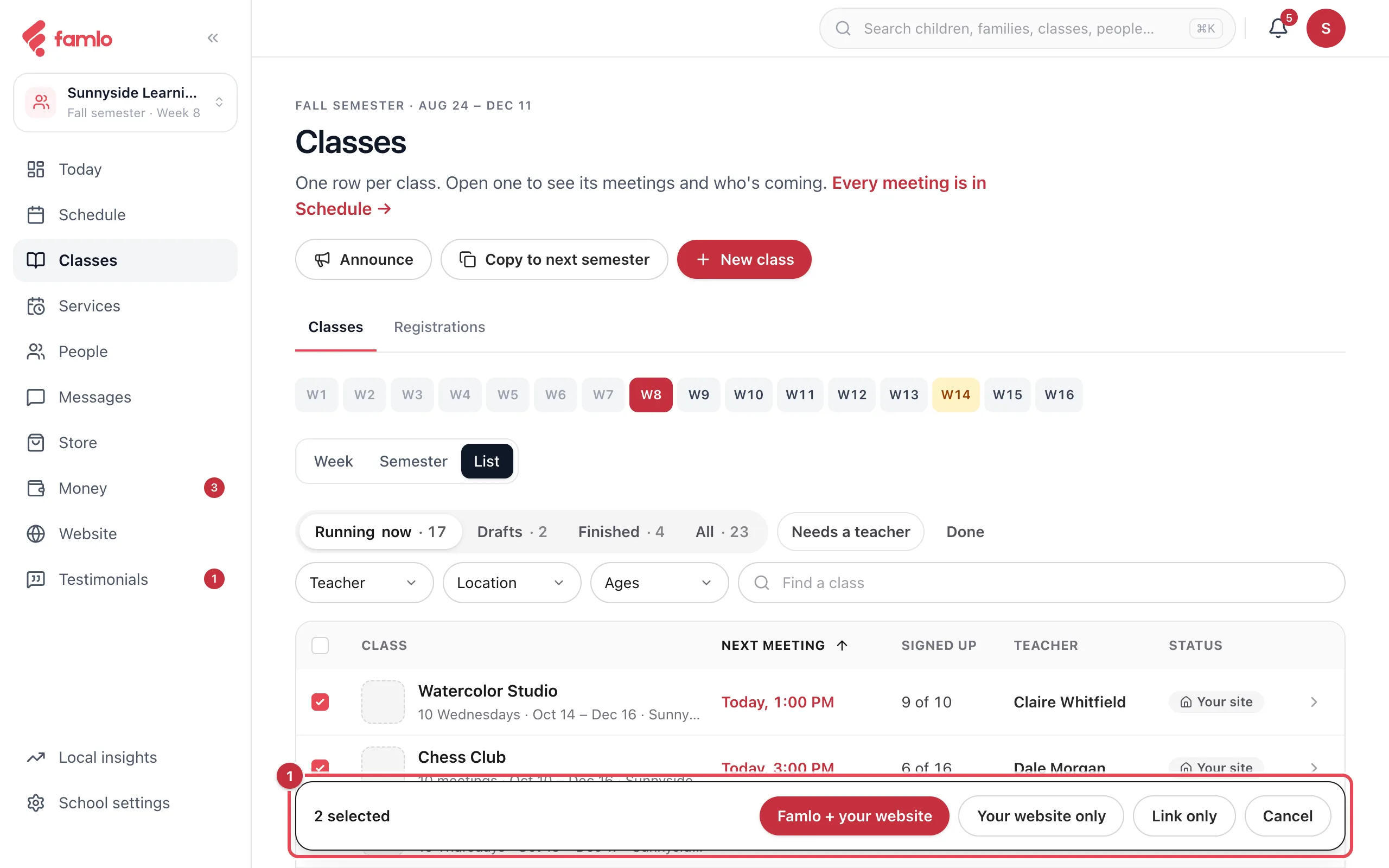 The Classes list in select mode with two classes ticked and the bar at the bottom highlighted, showing 2 selected, Famlo + your website, Your website only, Link only and Cancel
