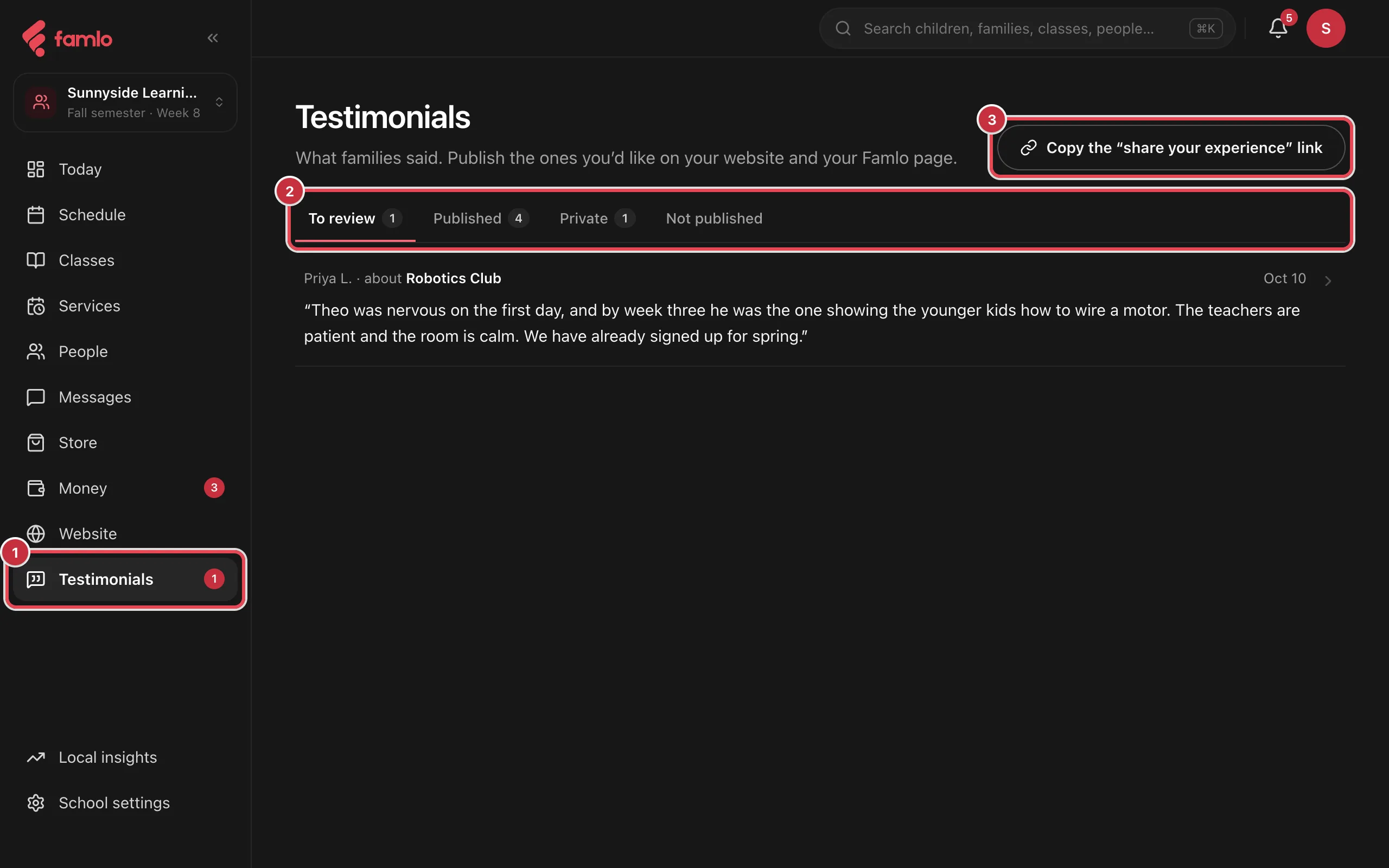 The Testimonials page with the Testimonials place, the four tabs and the Copy the share your experience link button highlighted