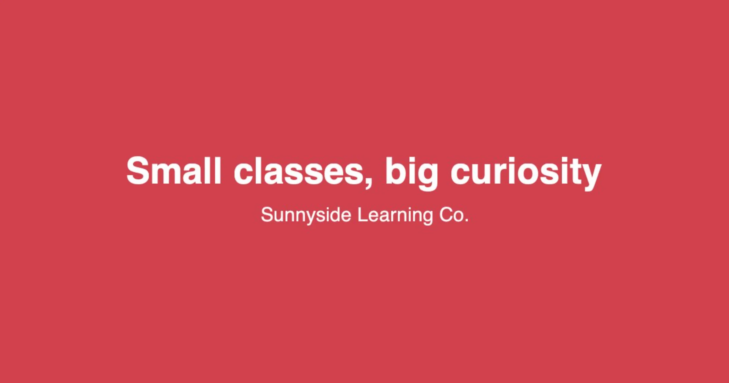 A link preview for a homepage with no photo: the headline Small classes, big curiosity and the organization's name on the site's accent color