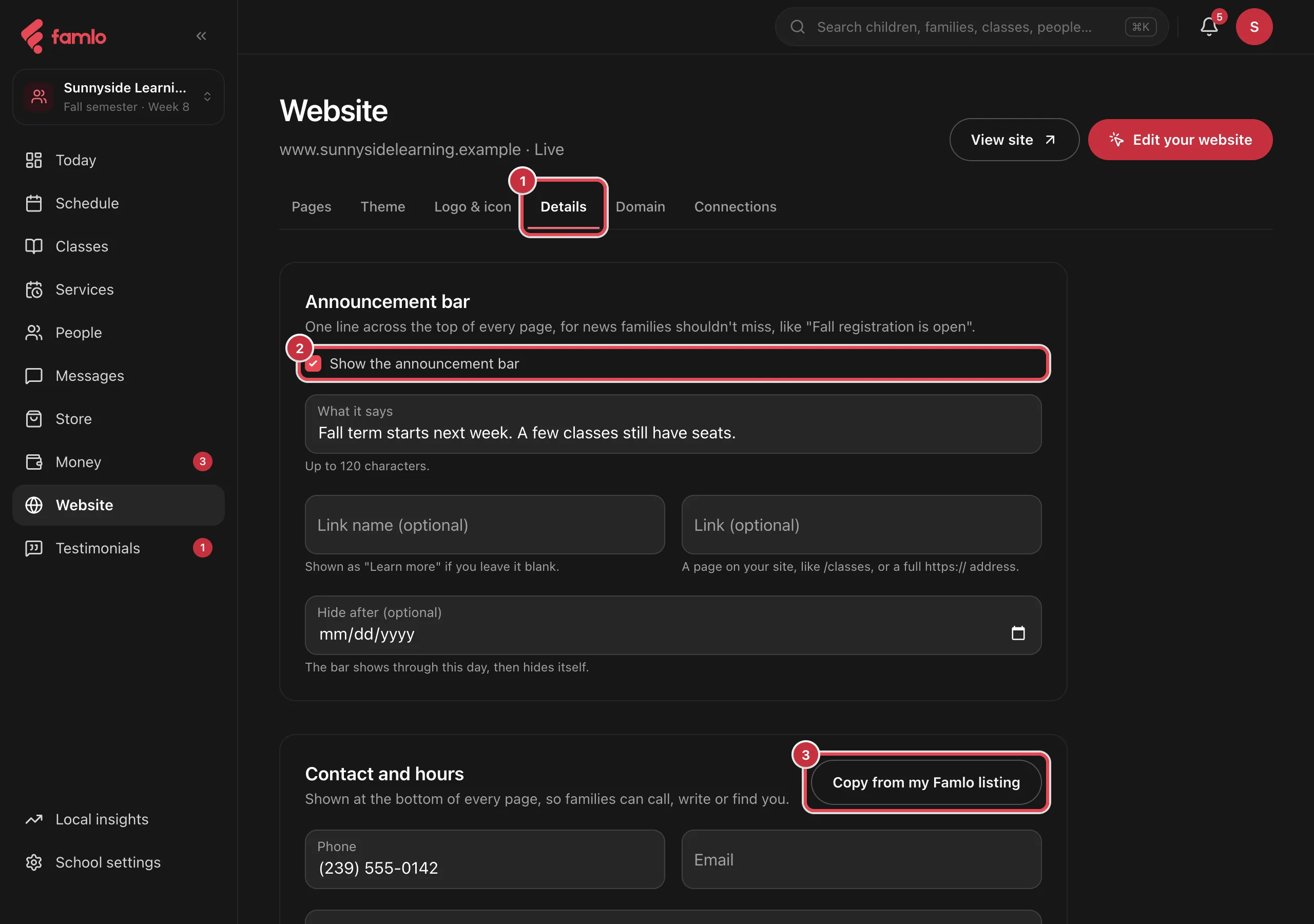 The Details tab with the Details tab as 1, Show the announcement bar as 2, and Copy from my Famlo listing as 3