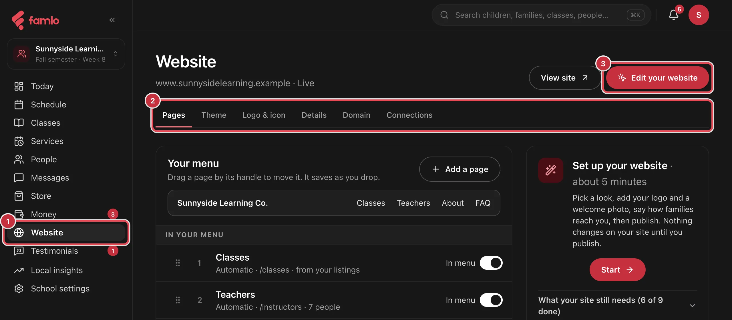 The Website place in the console, with Website in the left rail as 1, the Pages, Theme, Logo & icon, Details, Domain and Connections tabs as 2, and the Edit your website button as 3